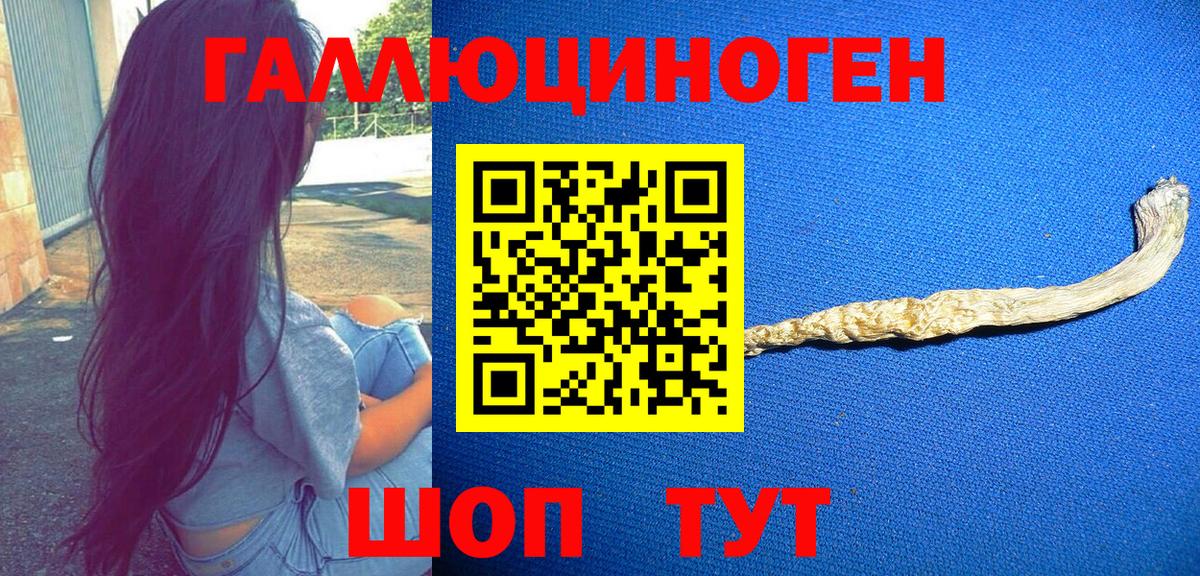 Псилоцибиновые грибы прущие грибы  Псилоцибиновые грибы ЛСД  Вход с VPN  цены наркотик  Кимовск 